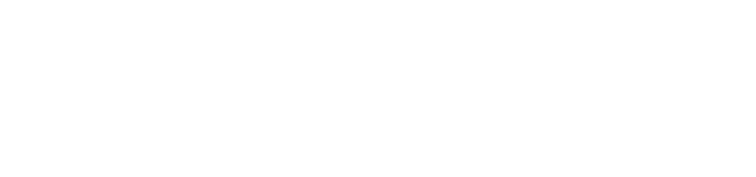 Primary Raster logo