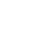 Problem-Solving Expertise